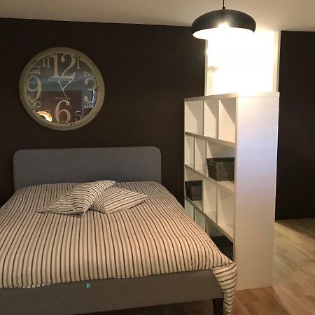 Large Studio Near Epfl And Lausanne City Center Ecublens  Zewnętrze zdjęcie