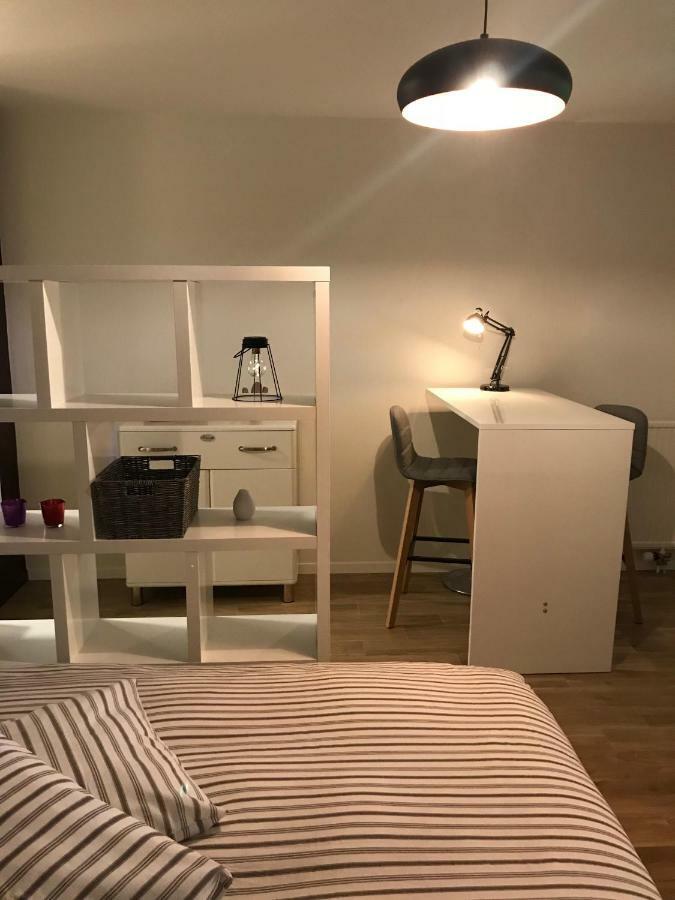 Large Studio Near Epfl And Lausanne City Center Ecublens  Zewnętrze zdjęcie