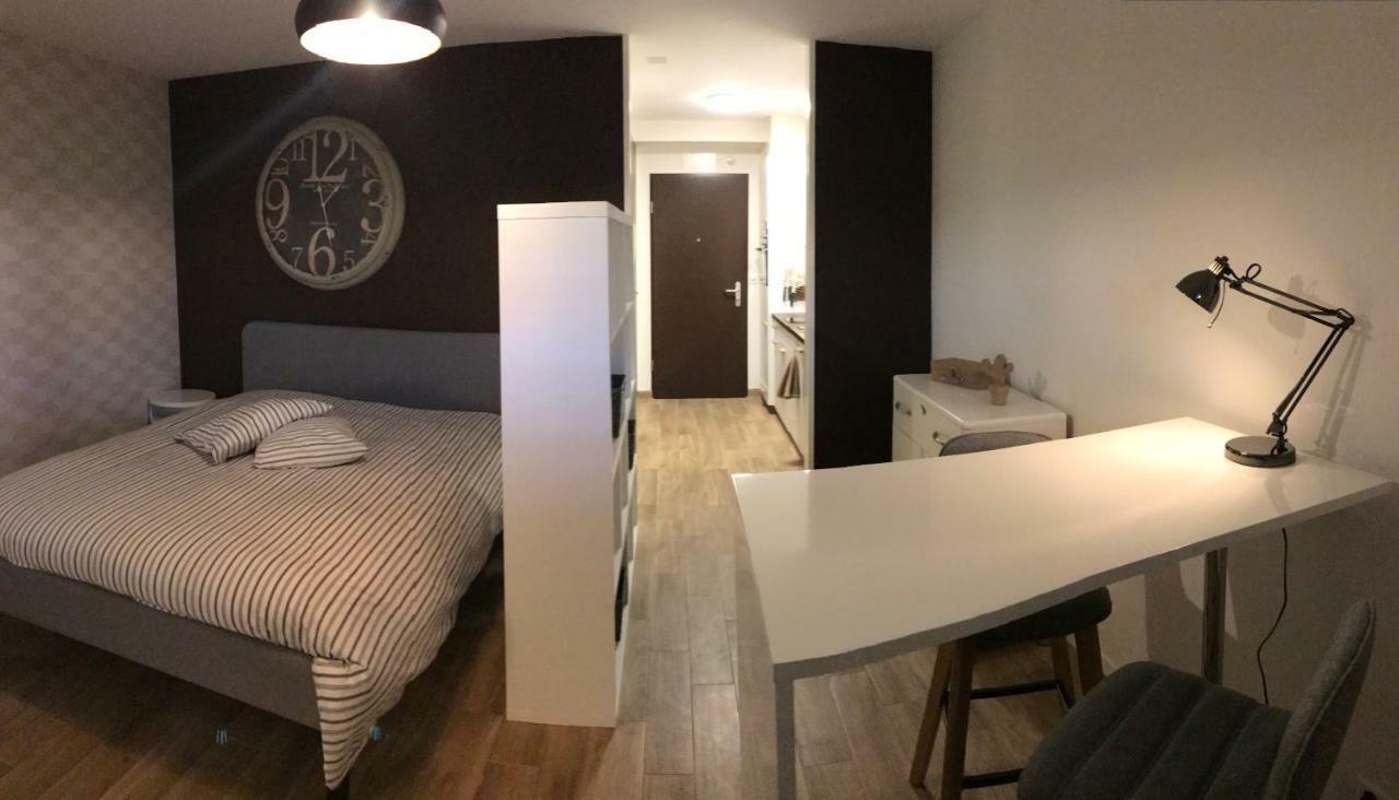 Large Studio Near Epfl And Lausanne City Center Ecublens  Zewnętrze zdjęcie