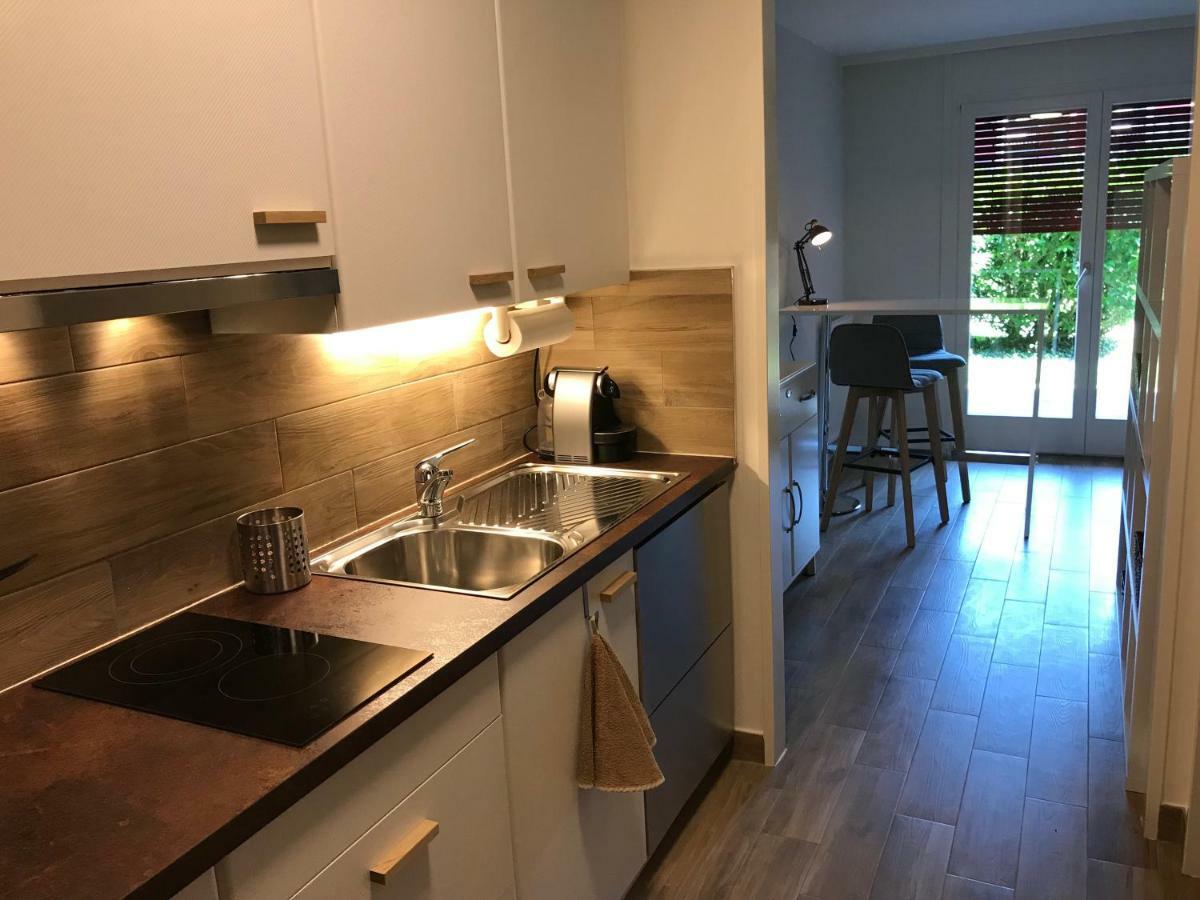 Large Studio Near Epfl And Lausanne City Center Ecublens  Zewnętrze zdjęcie