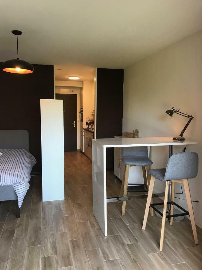 Large Studio Near Epfl And Lausanne City Center Ecublens  Zewnętrze zdjęcie