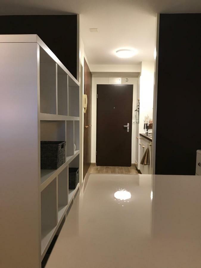 Large Studio Near Epfl And Lausanne City Center Ecublens  Zewnętrze zdjęcie