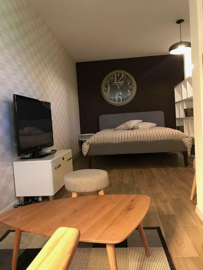 Large Studio Near Epfl And Lausanne City Center Ecublens  Zewnętrze zdjęcie